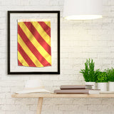 "Y" Nautical Signal Flag in Floating Frame
