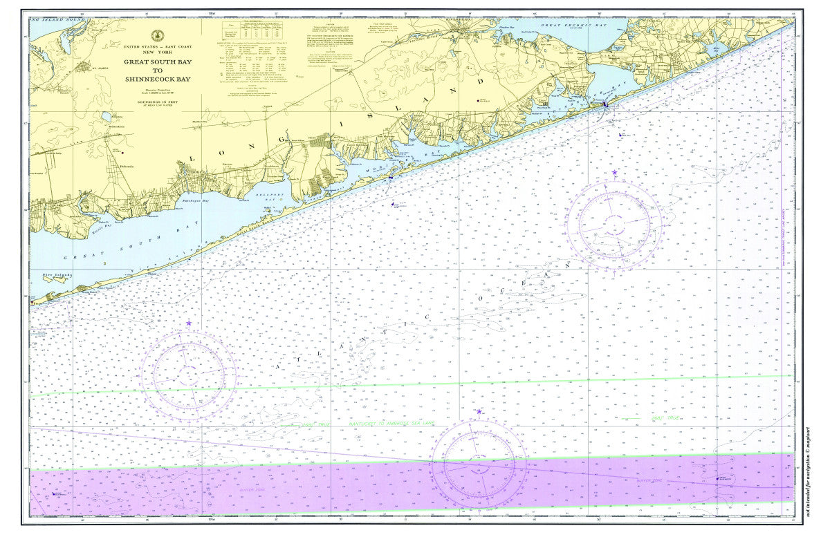 Great South Bay to Shinnecock Bay Single Placemat